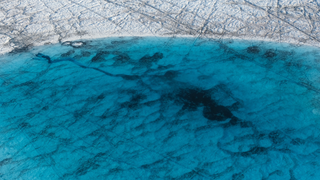 7 Graphics That Show Why the Arctic Is in Trouble